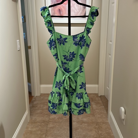 Likely Mini Charlotte Dress In Green Petal. NWT. Size 10 - Picture 7 of 13